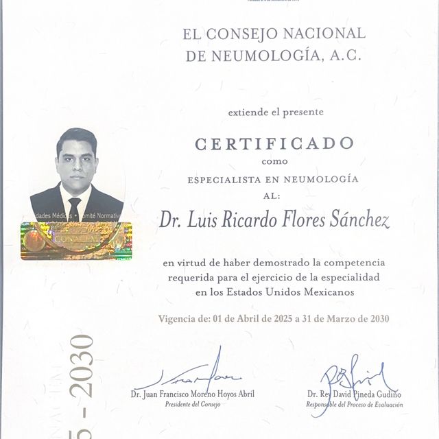 Ampliar imagen: certificate 3