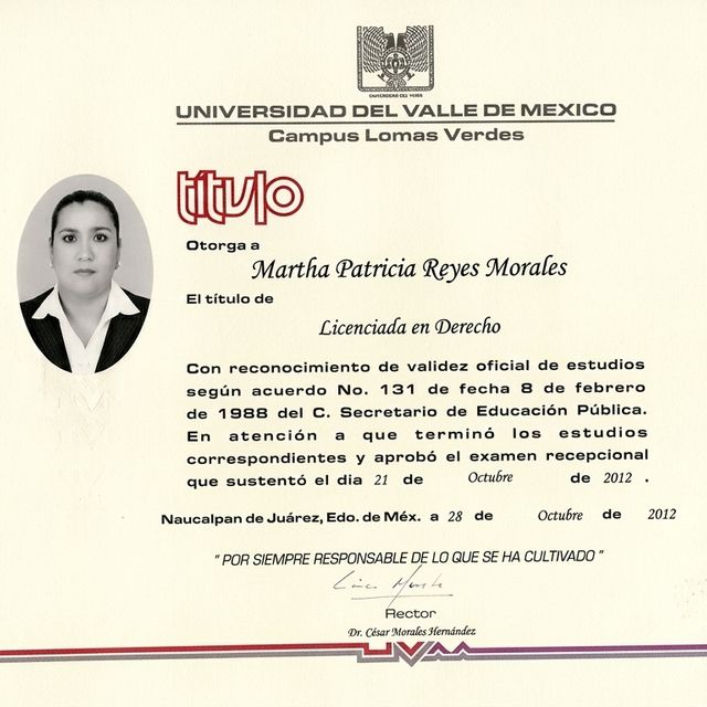 Ampliar imagen: certificate 17