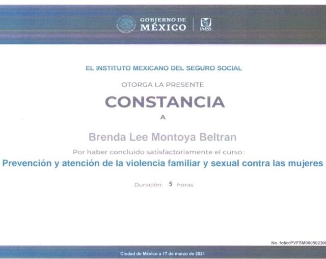 Ampliar imagen: certificate 5