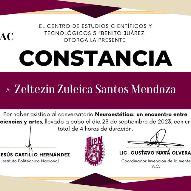 Ampliar imagen: certificate 9