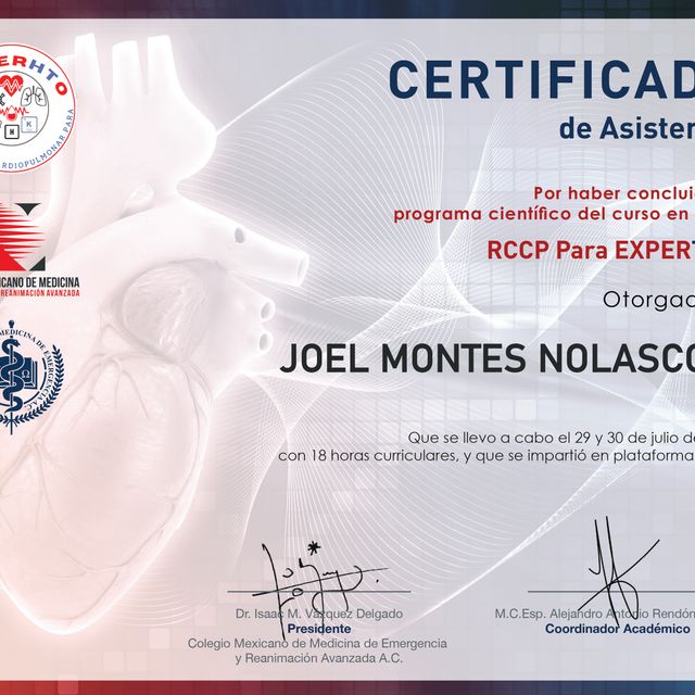 Ampliar imagen: certificate 2