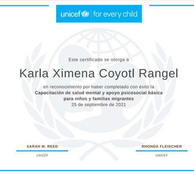Ampliar imagen: certificate 4