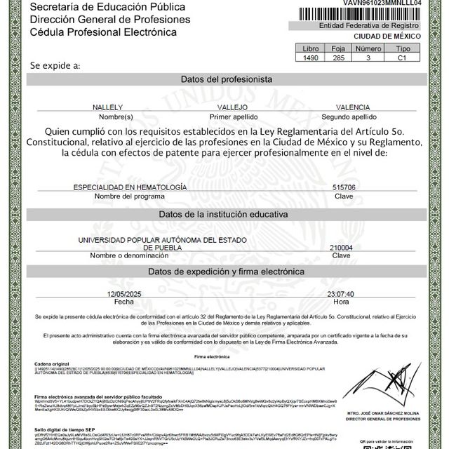 Ampliar imagen: certificate 3