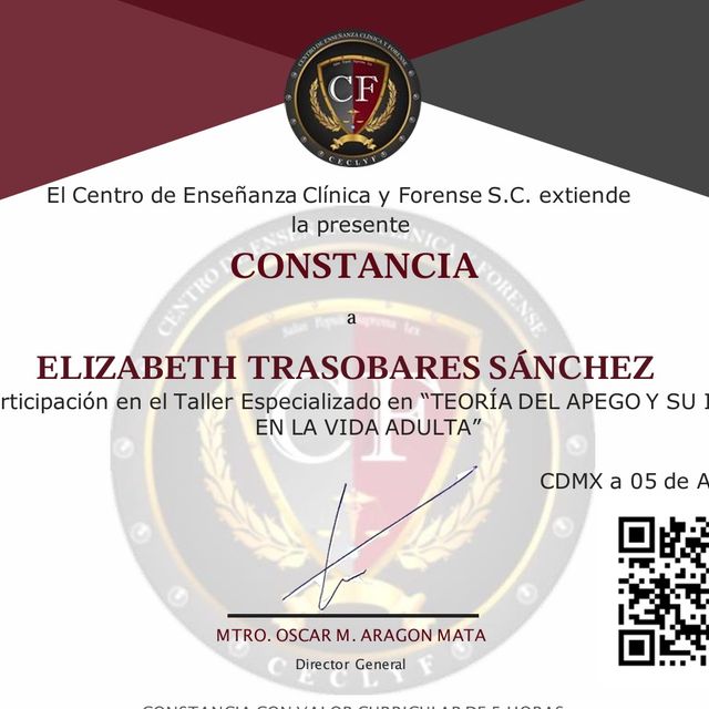 Ampliar imagen: certificate 8