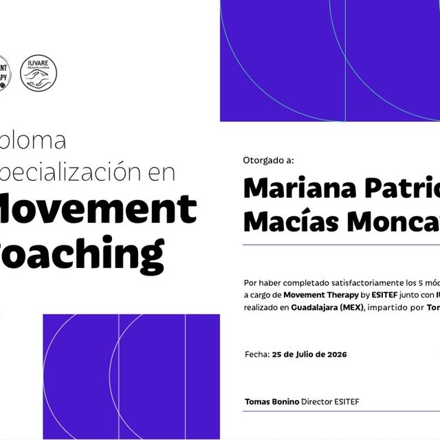 Ampliar imagen: certificate 1