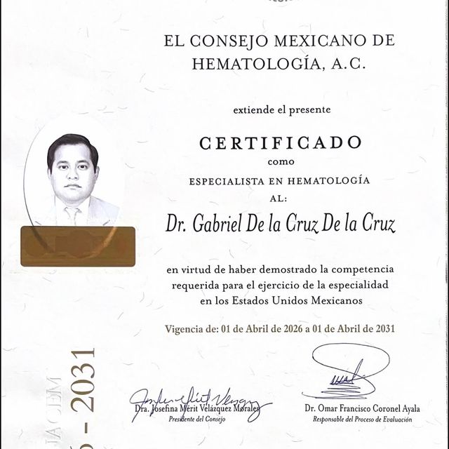 Ampliar imagen: certificate 1