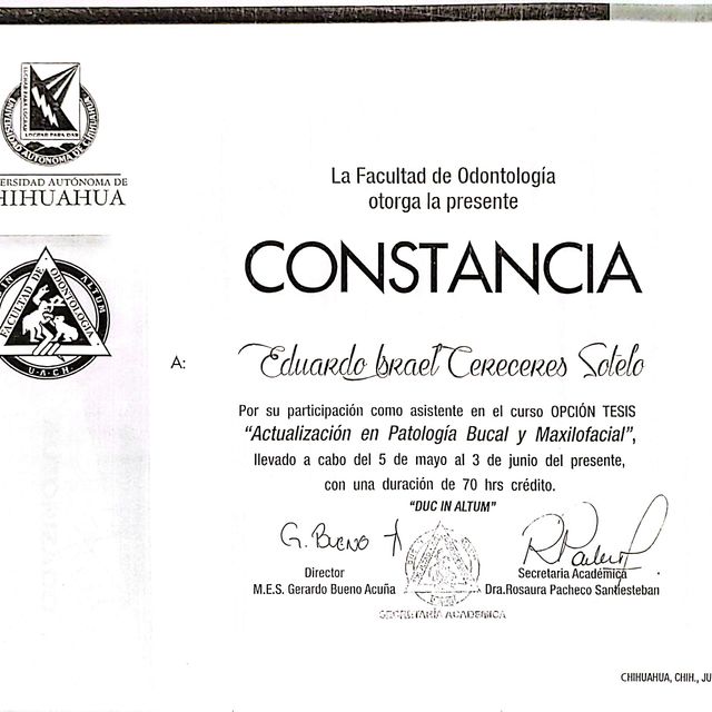 Ampliar imagen: certificate 3