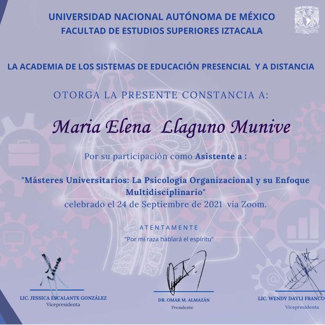 Ampliar imagen: certificate 4