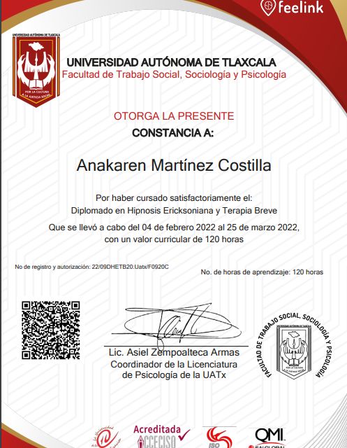 Ampliar imagen: certificate 2