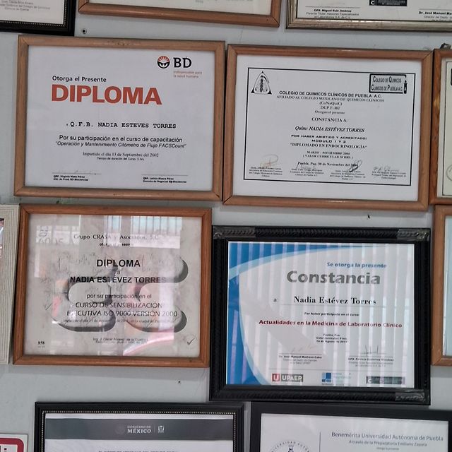 Ampliar imagen: certificate 5