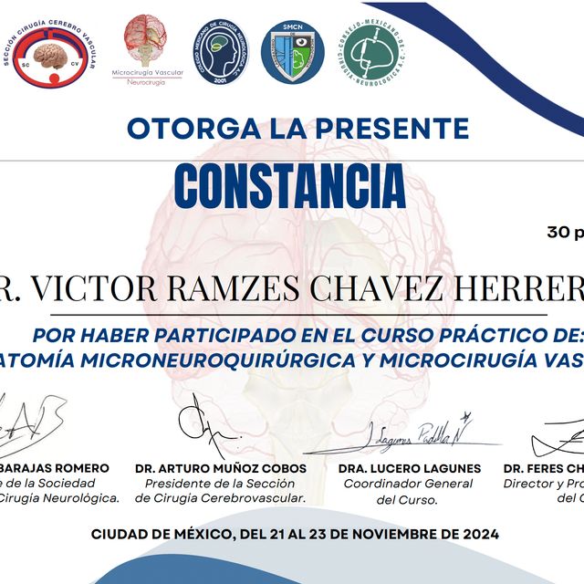 Ampliar imagen: certificate 11