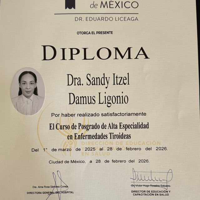 Ampliar imagen: certificate 4