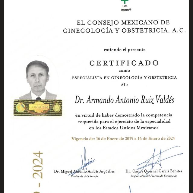 Ampliar imagen: certificate 1
