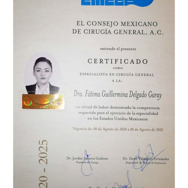 Ampliar imagen: certificate 2