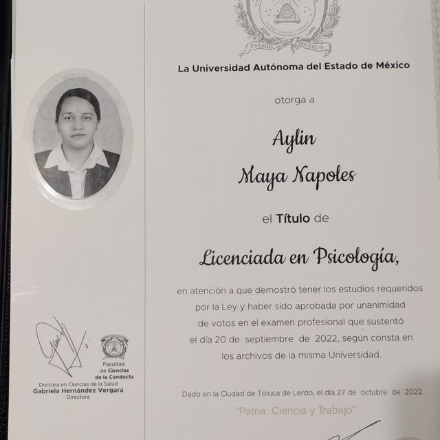 Ampliar imagen: certificate 1