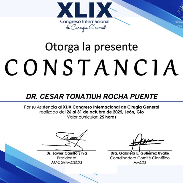 Ampliar imagen: certificate 40