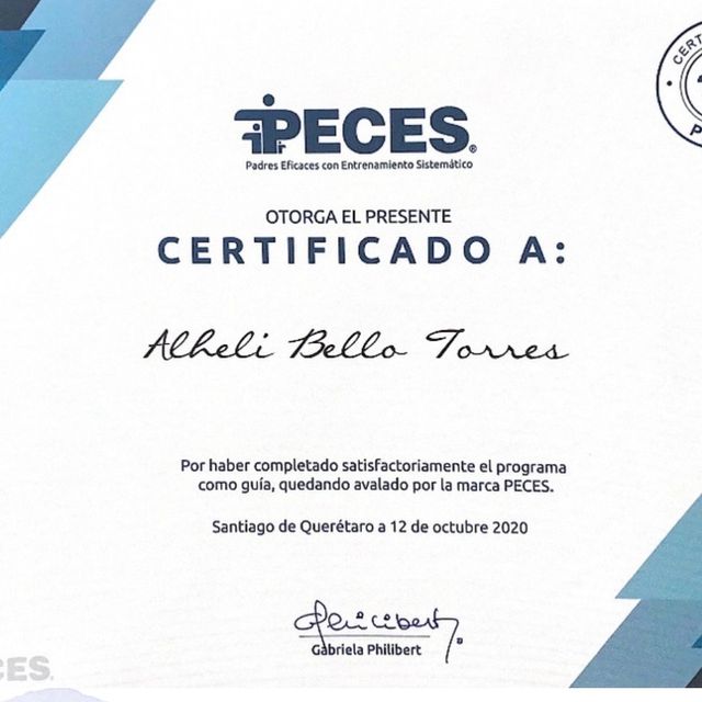 Ampliar imagen: certificate 7