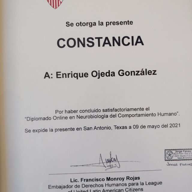 Ampliar imagen: certificate 9
