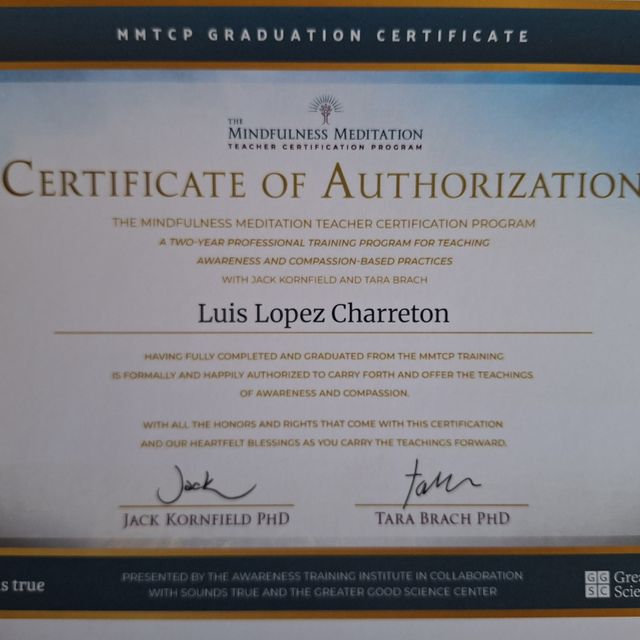 Ampliar imagen: certificate 10