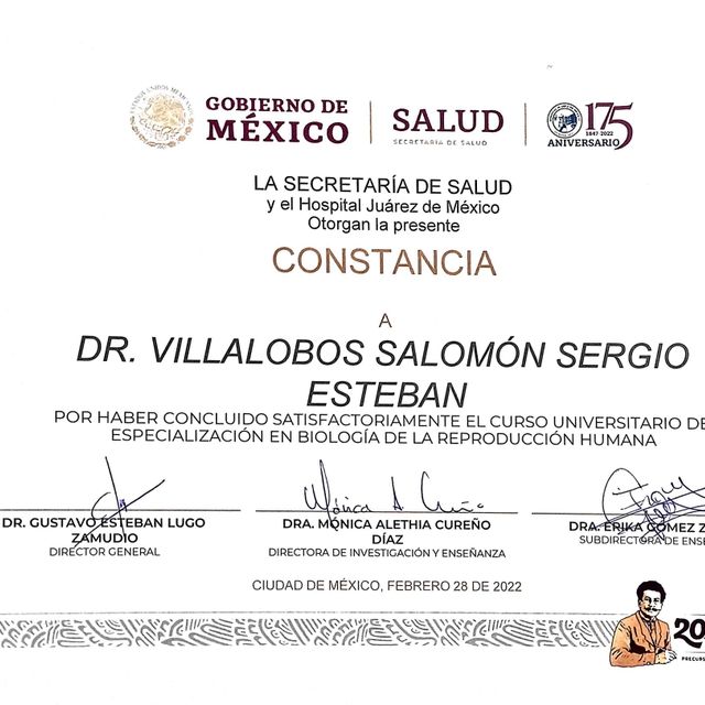 Ampliar imagen: certificate 3