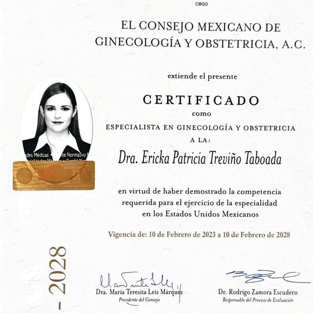 Ampliar imagen: certificate 2