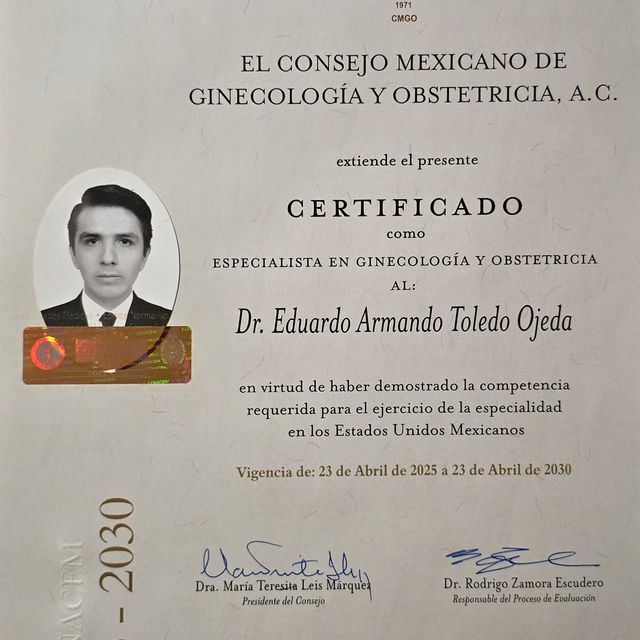 Ampliar imagen: certificate 1