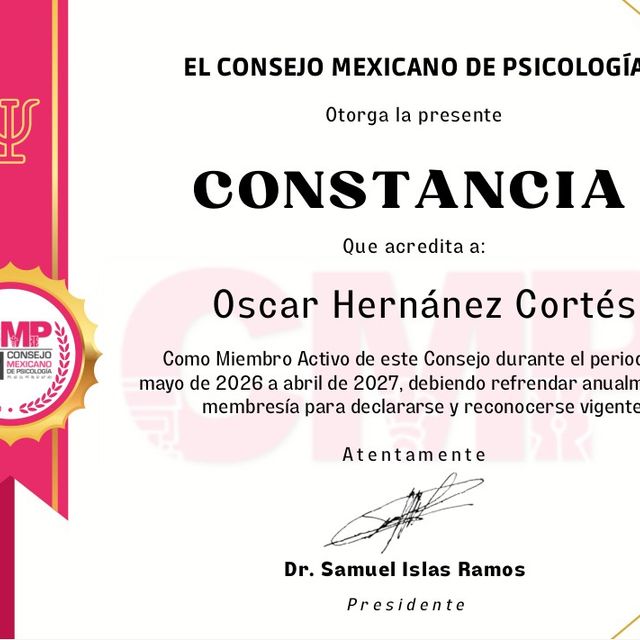 Ampliar imagen: certificate 1