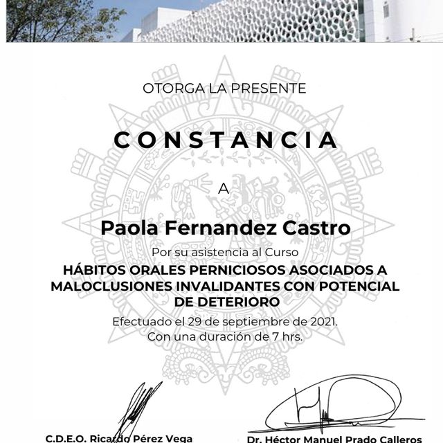 Ampliar imagen: certificate 22