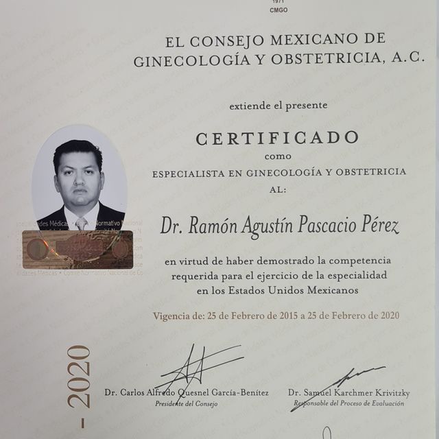 Ampliar imagen: certificate 16