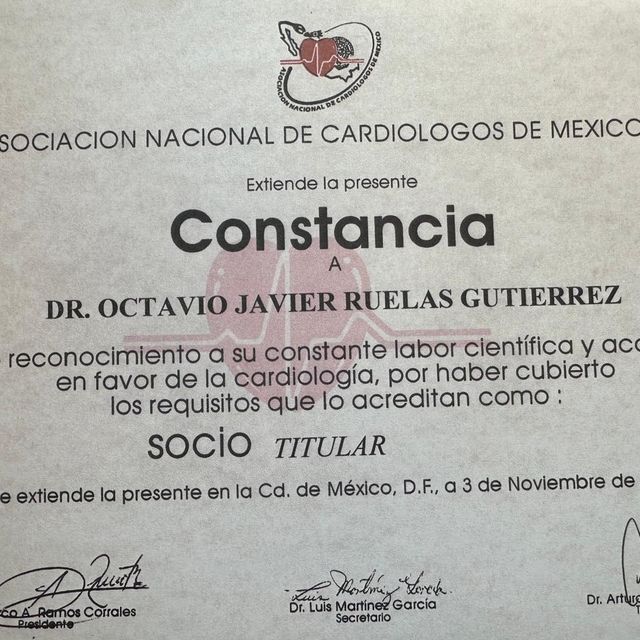 Ampliar imagen: certificate 2