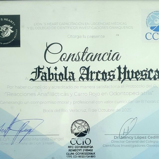 Ampliar imagen: certificate 3