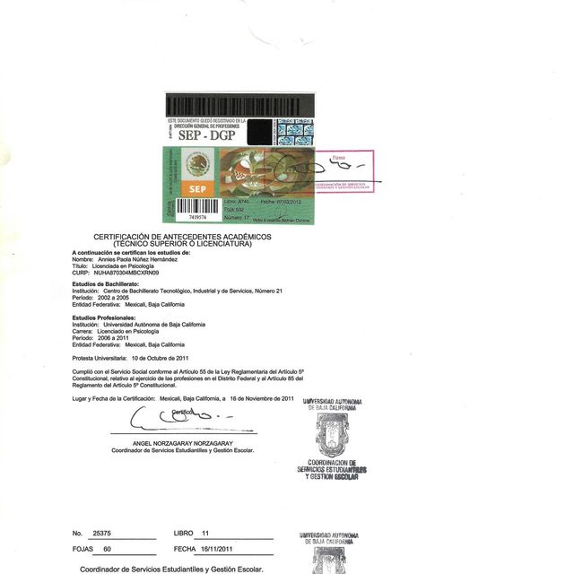 Ampliar imagen: certificate 3