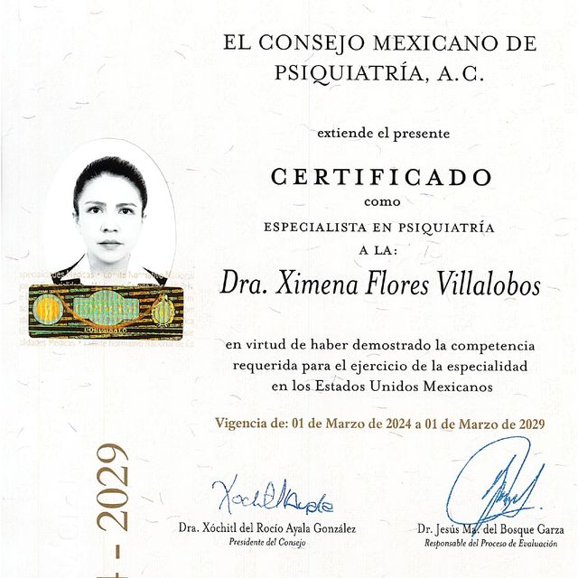 Ampliar imagen: certificate 4
