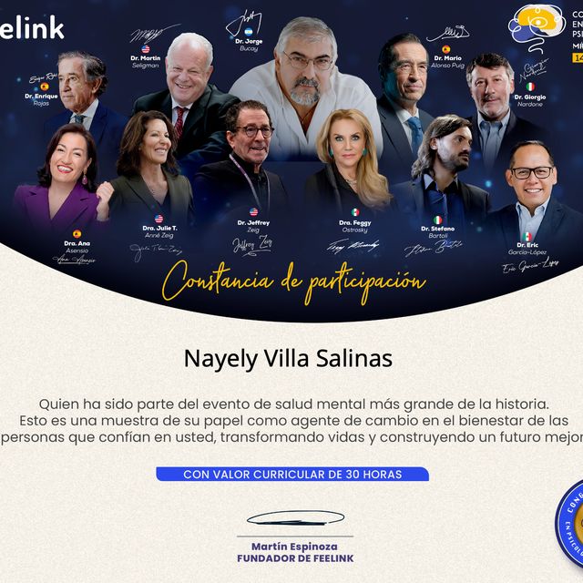 Ampliar imagen: certificate 3