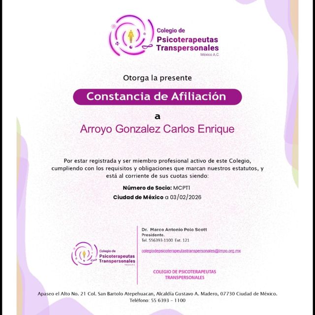 Ampliar imagen: certificate 4