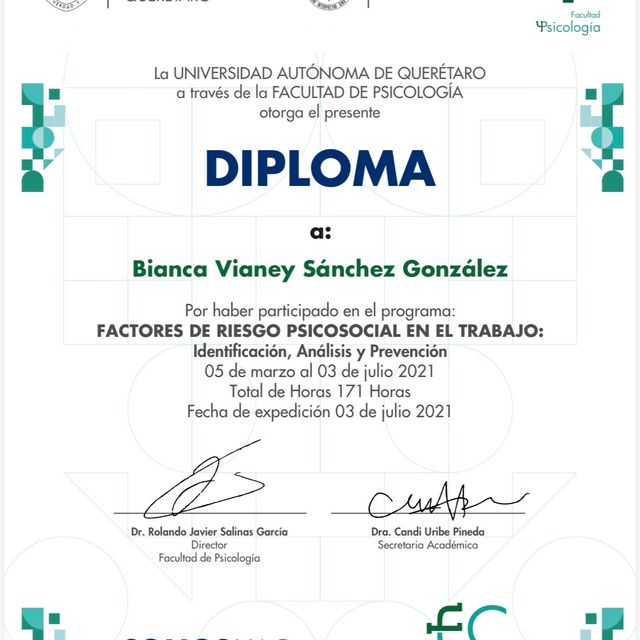 Ampliar imagen: certificate 4