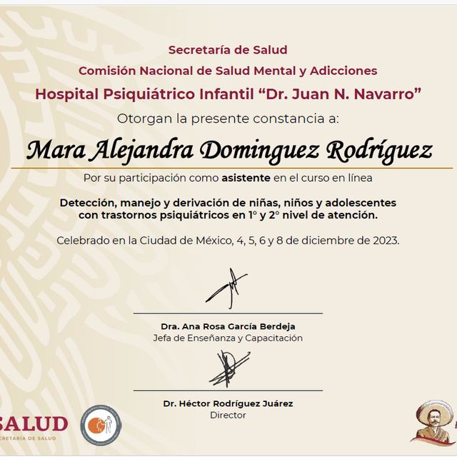Ampliar imagen: certificate 31