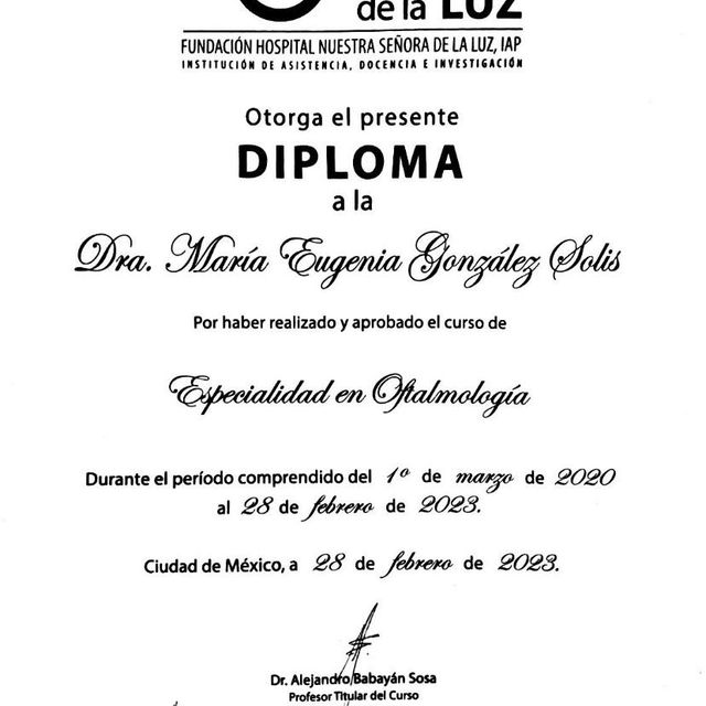 Ampliar imagen: certificate 3