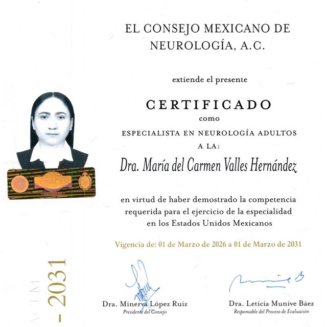 Ampliar imagen: certificate 1