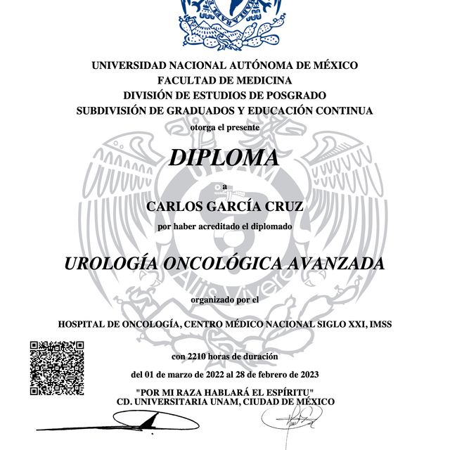 Ampliar imagen: certificate 4
