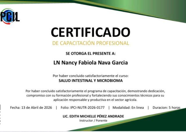Ampliar imagen: certificate 4
