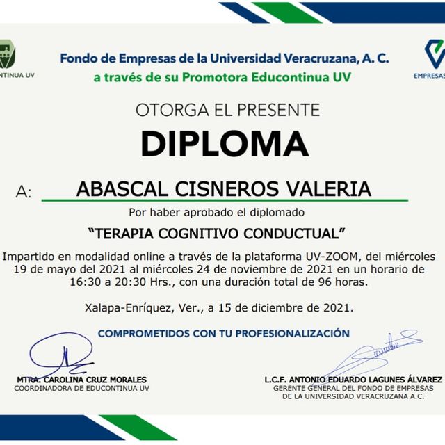 Ampliar imagen: certificate 3