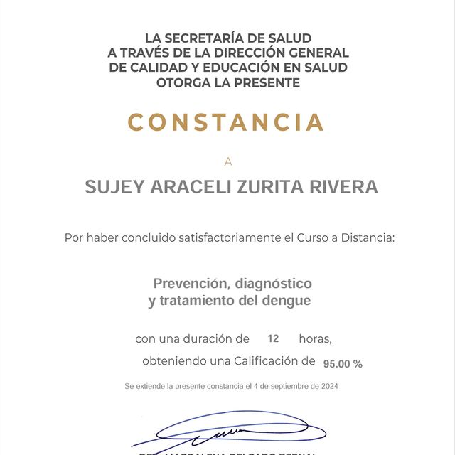 Ampliar imagen: certificate 11