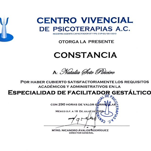 Ampliar imagen: certificate 2