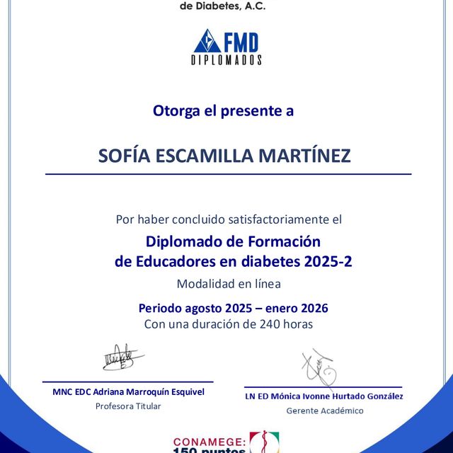 Ampliar imagen: certificate 4