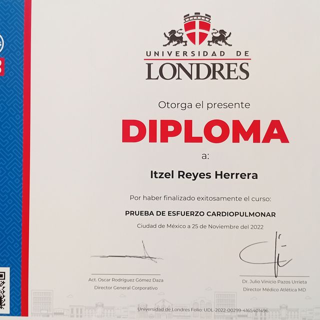 Ampliar imagen: certificate 3