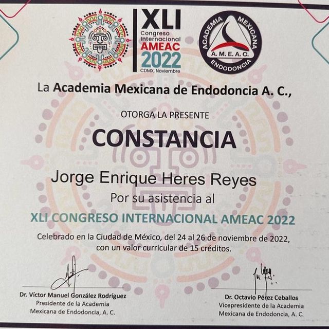 Ampliar imagen: certificate 8