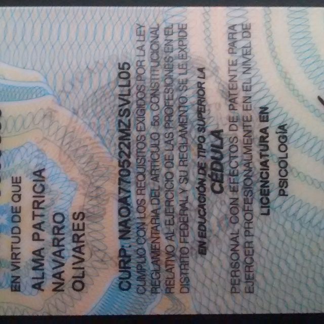 Ampliar imagen: certificate 3