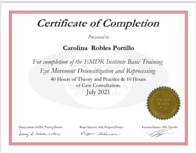 Ampliar imagen: certificate 1