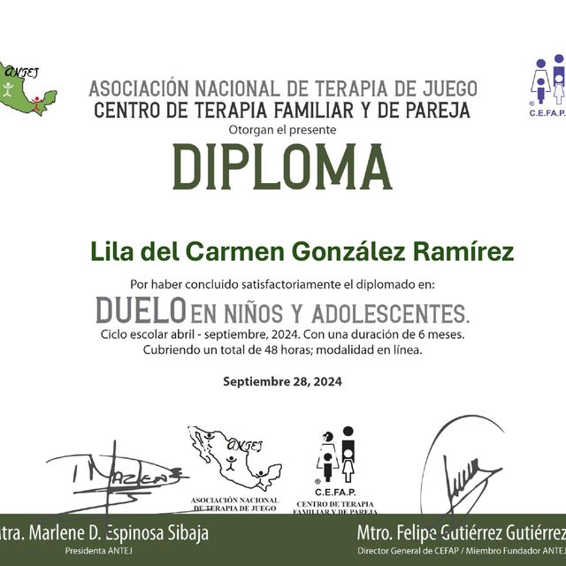 Ampliar imagen: certificate 9